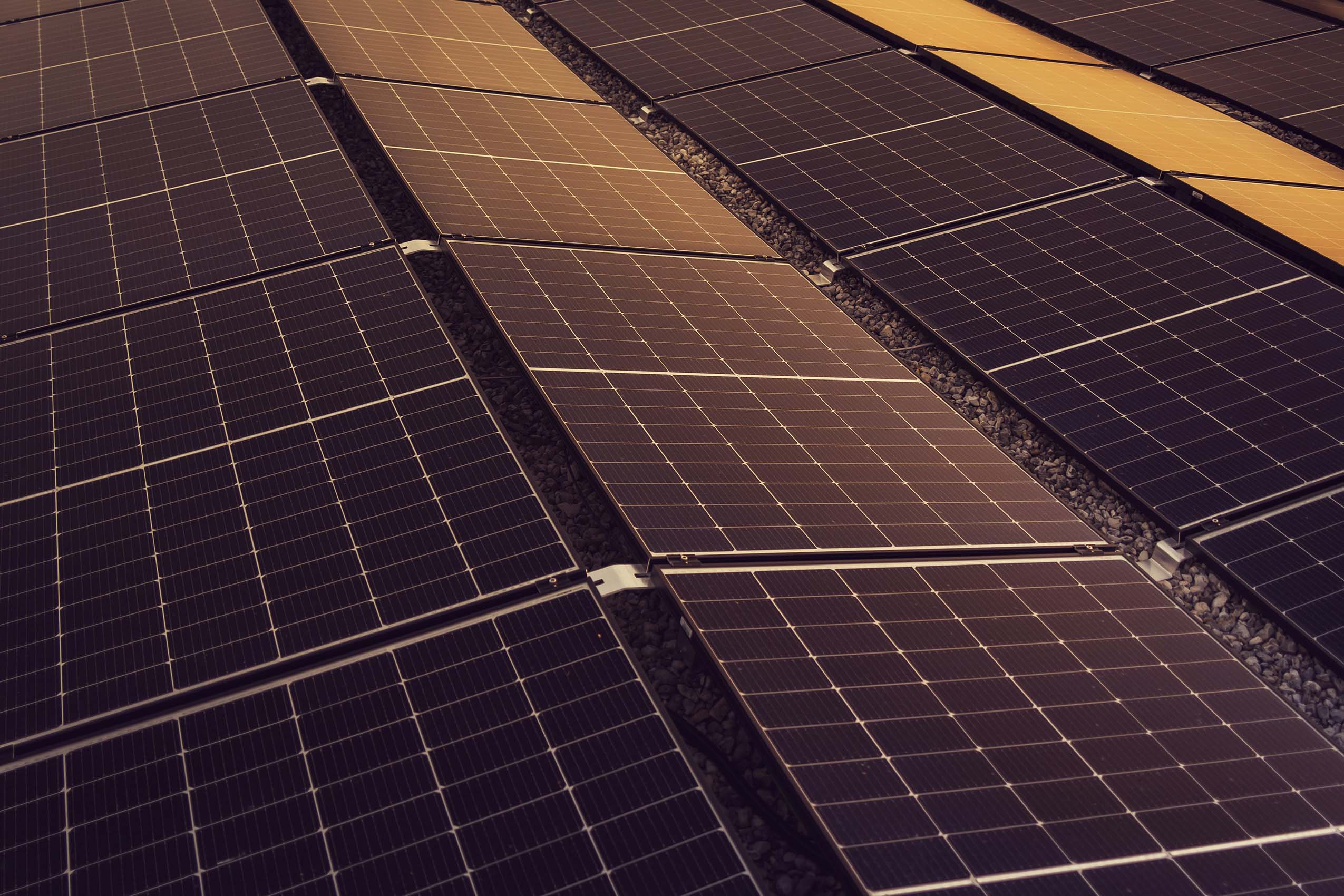 Solar panels catching low golden sunlight